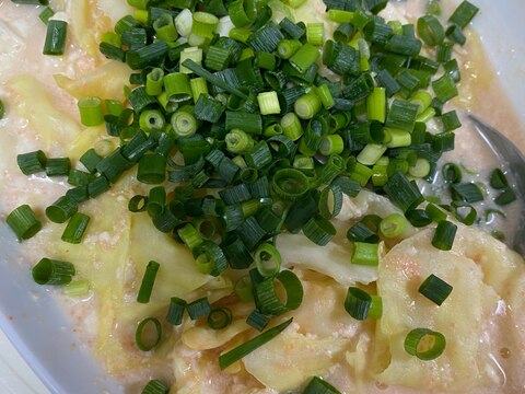 キャベツと朧豆腐の明太クリーム